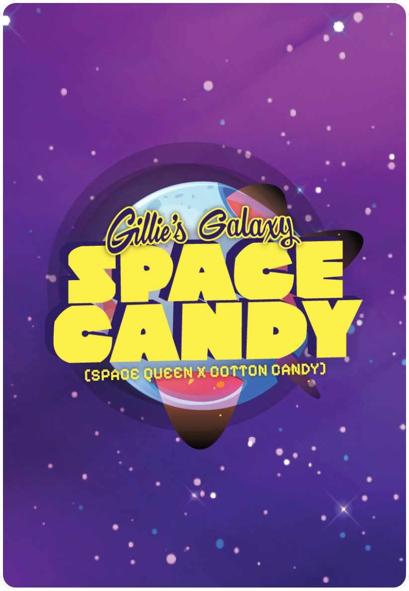 harvest-moon-farms-nj-new-drops-gillies-galaxy-space-candy
